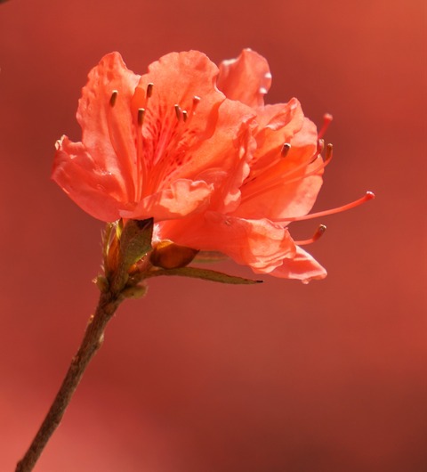 24-DSC01740