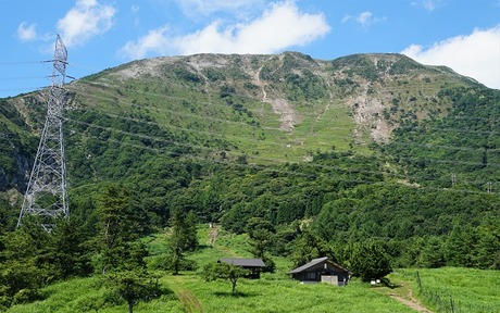 ALP06050