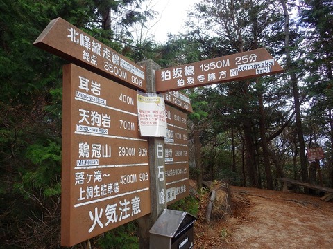 WG3_7594