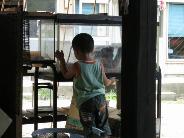 釣りと川遊び 駒ヶ根高原家族旅行村 コロケロの雑記帳