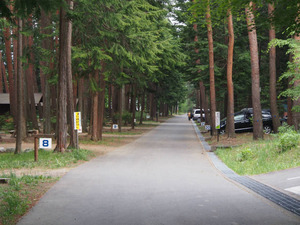 キャンプ場