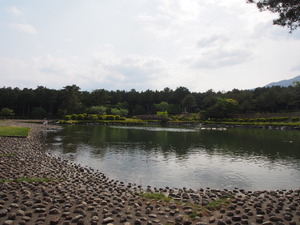 池