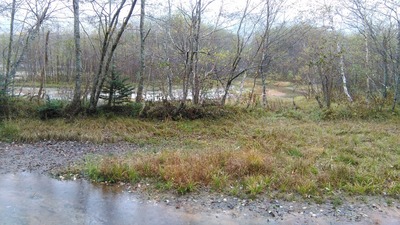 IMG_20201024_131858