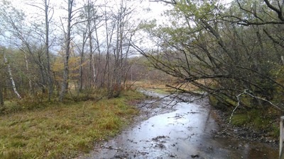 IMG_20201024_131851