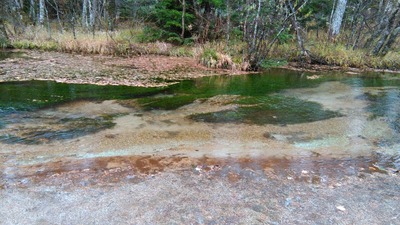 IMG_20201024_133736