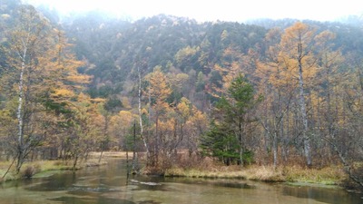 IMG_20201024_133648