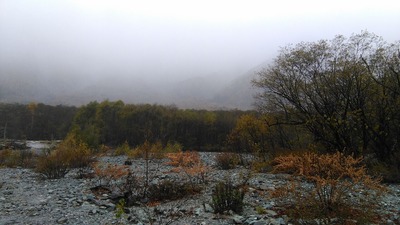 IMG_20201024_132328