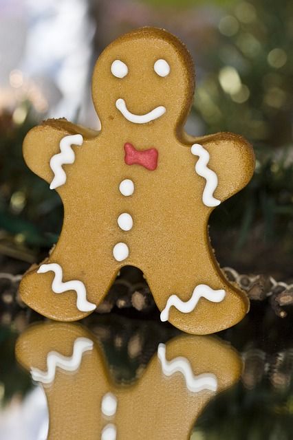 ginger man christmas-475505_640