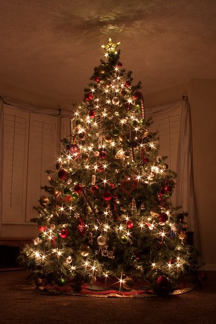 クリスマスツリー 本物のモミの木に本物のキャンドル これでちょっぴり北欧気分