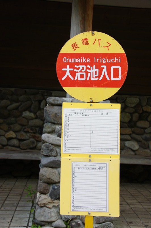 お散歩信州 : 志賀高原～大沼池の鳥居を目指して～