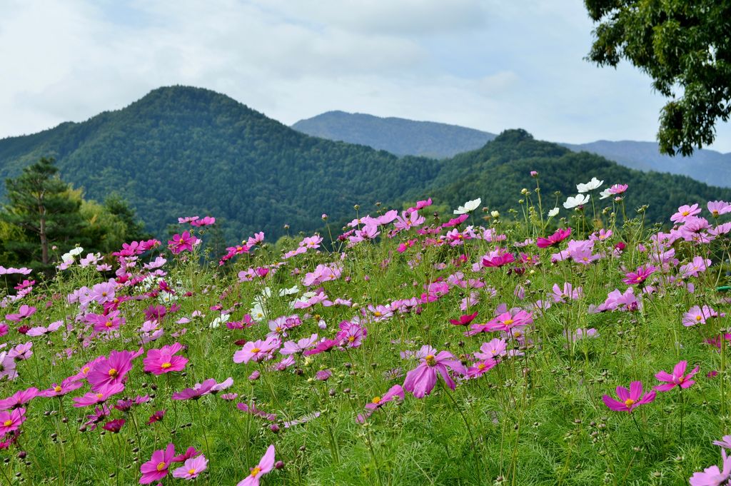 国営アルプスあずみの公園 安曇野の空