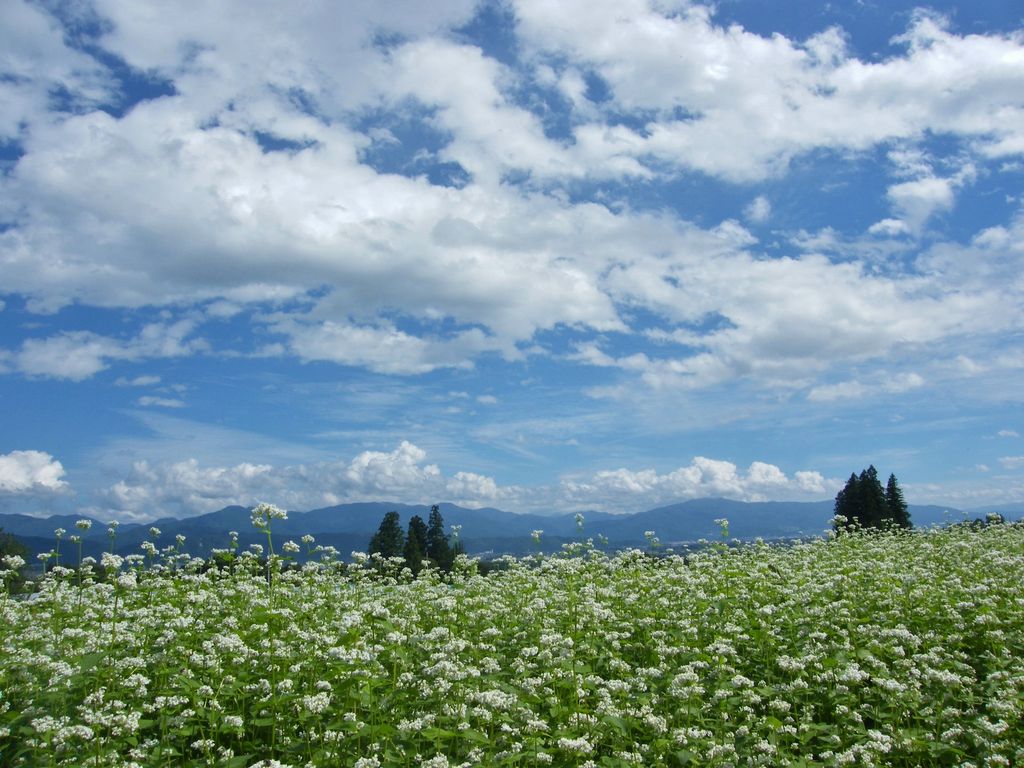 安曇野アルプス公園里山ゾーンと山口家 安曇野の空