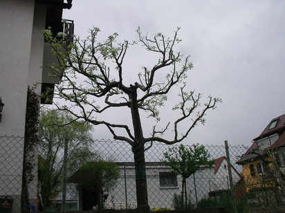 SANY0067