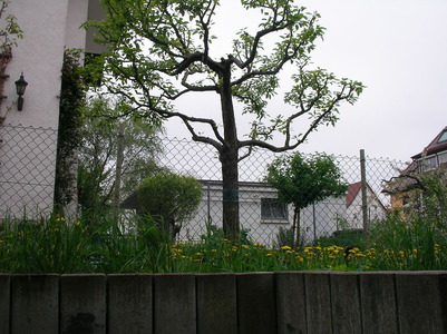 SANY0069