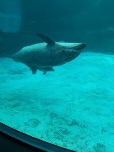 PXL_20241108_050745159.MP (カスタム) (カスタム)