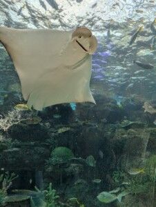 PXL_20241108_055745382.MP (カスタム) (カスタム)