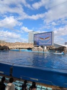 PXL_20241108_052128763.MP (カスタム) (カスタム)