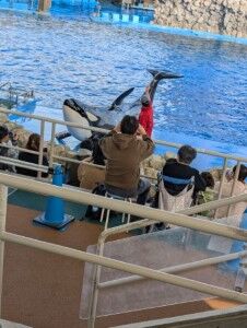 PXL_20241108_053409022.MP (カスタム) (カスタム)