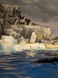 PXL_20241108_060503741.MP (カスタム) (カスタム)