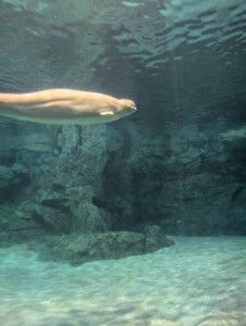 PXL_20241108_050933433.MP (カスタム) (カスタム)