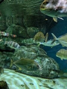 PXL_20241108_055249817.MP (カスタム) (カスタム)