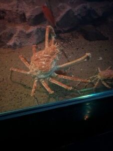 PXL_20241108_055422798.MP (カスタム) (カスタム)