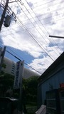 9762ee5a.jpg