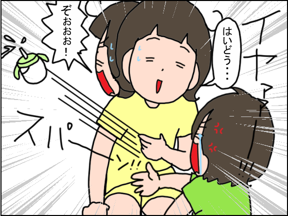2433-3
