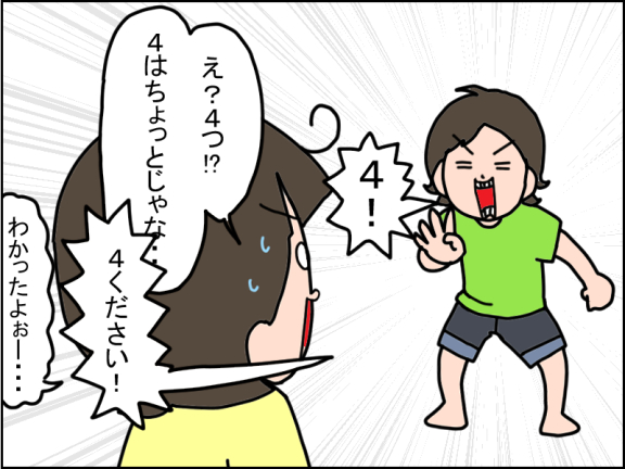 2673-3