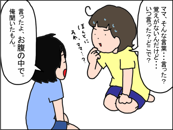 2146-6
