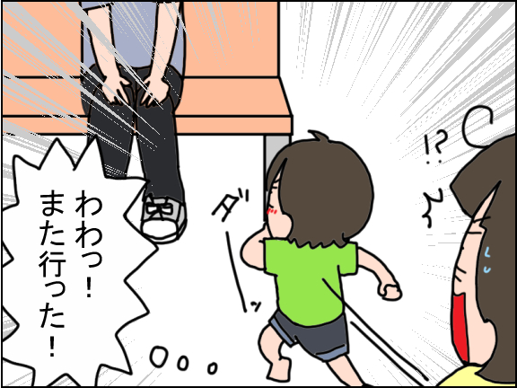 2446-6