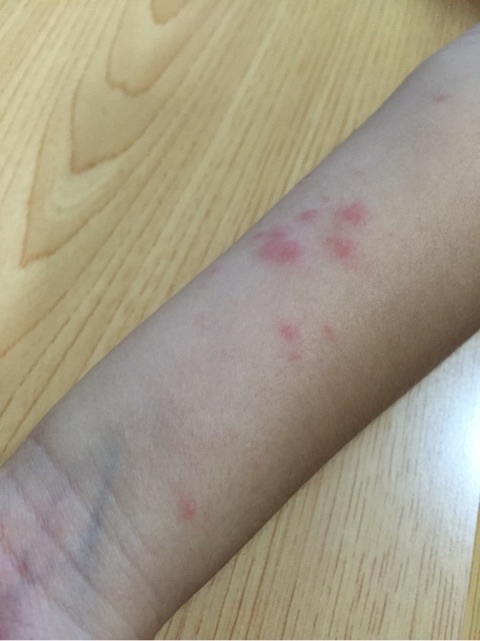 {D58B17DD-8DE3-4AC2-97DE-7E9E47692F1D}