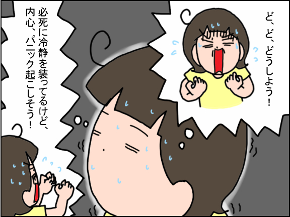 2528-3