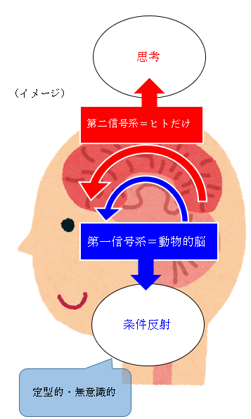 第一信号系・第二信号系の概略図