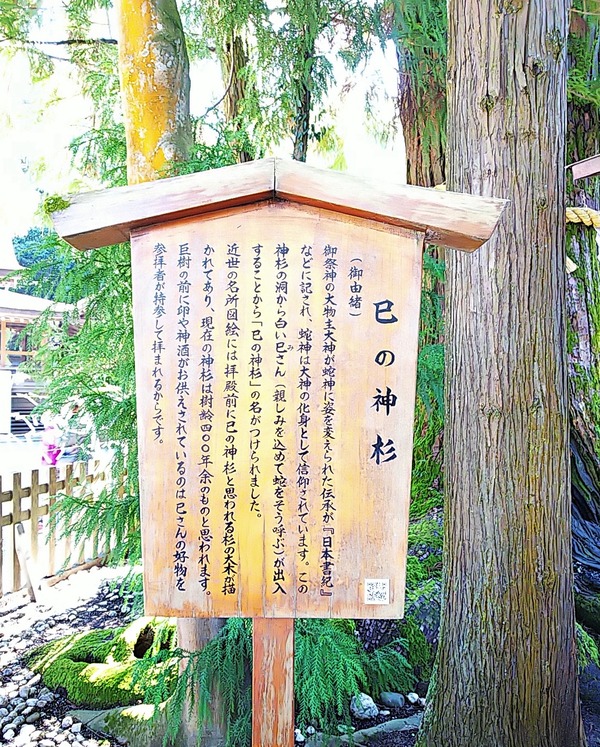 大神神社2020.2.24 (4)