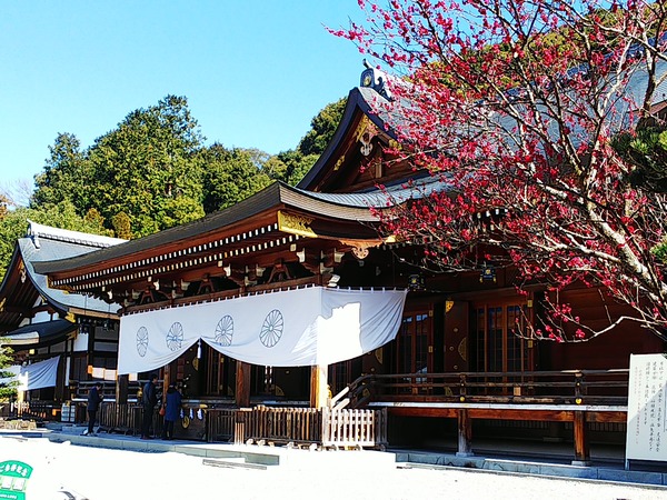 大神神社2020.2.24 (1)