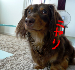 ニヤリ顔