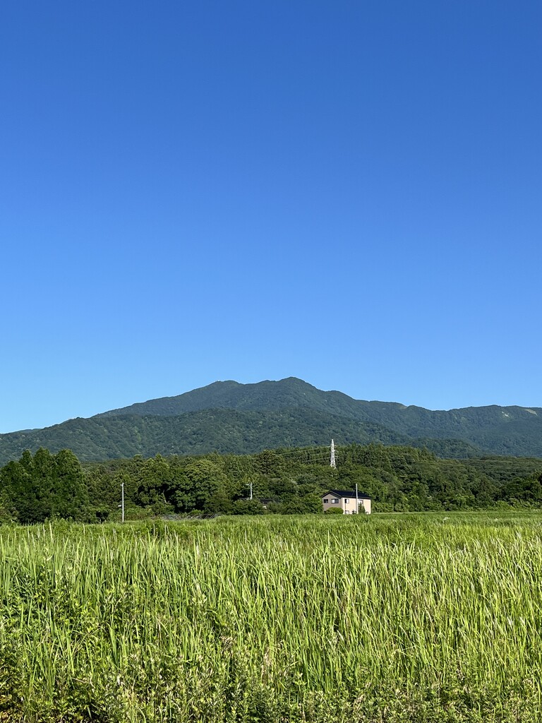 image0