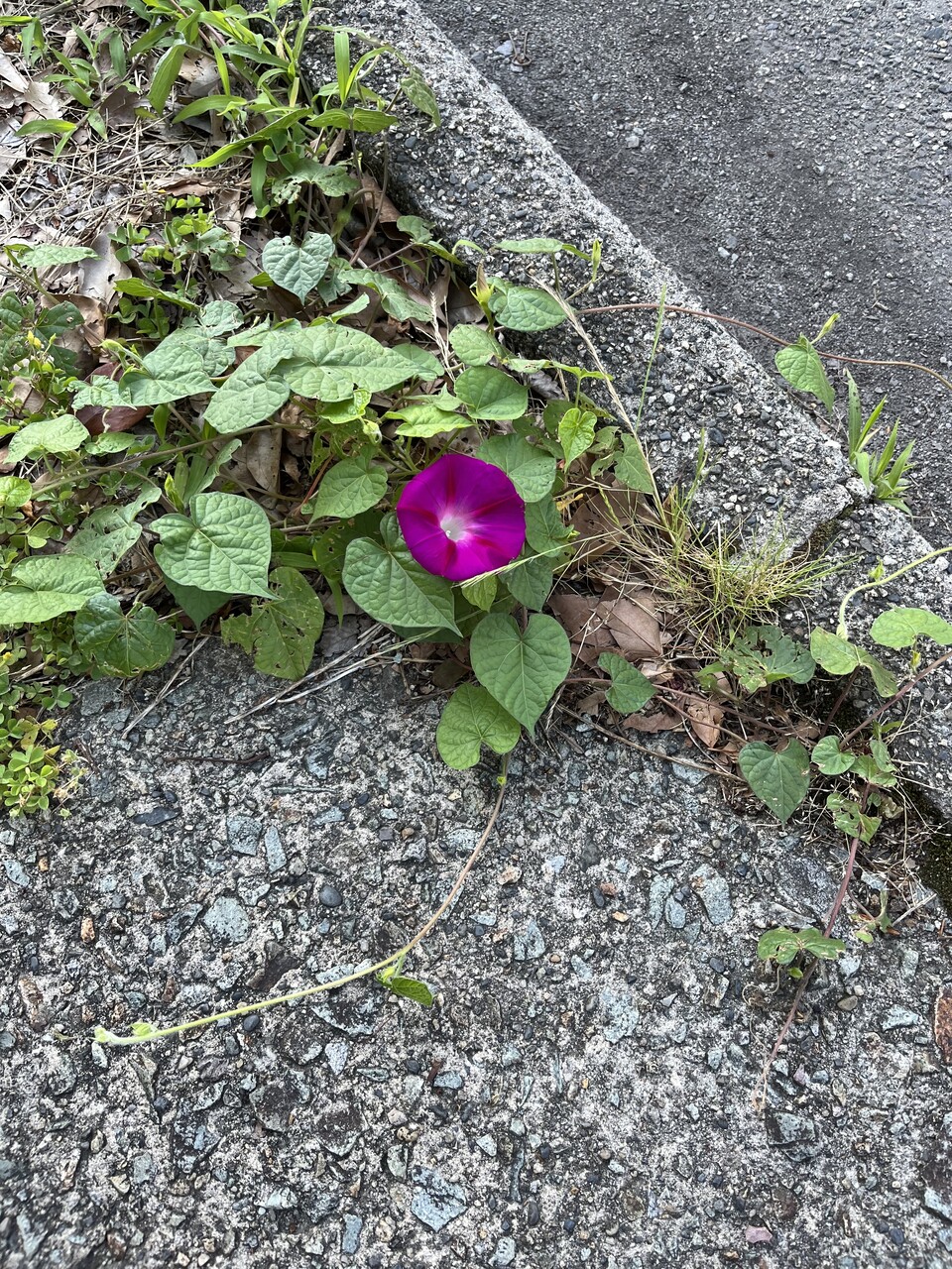 image2_1