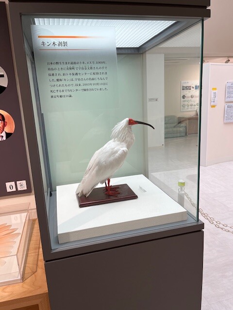 image_b