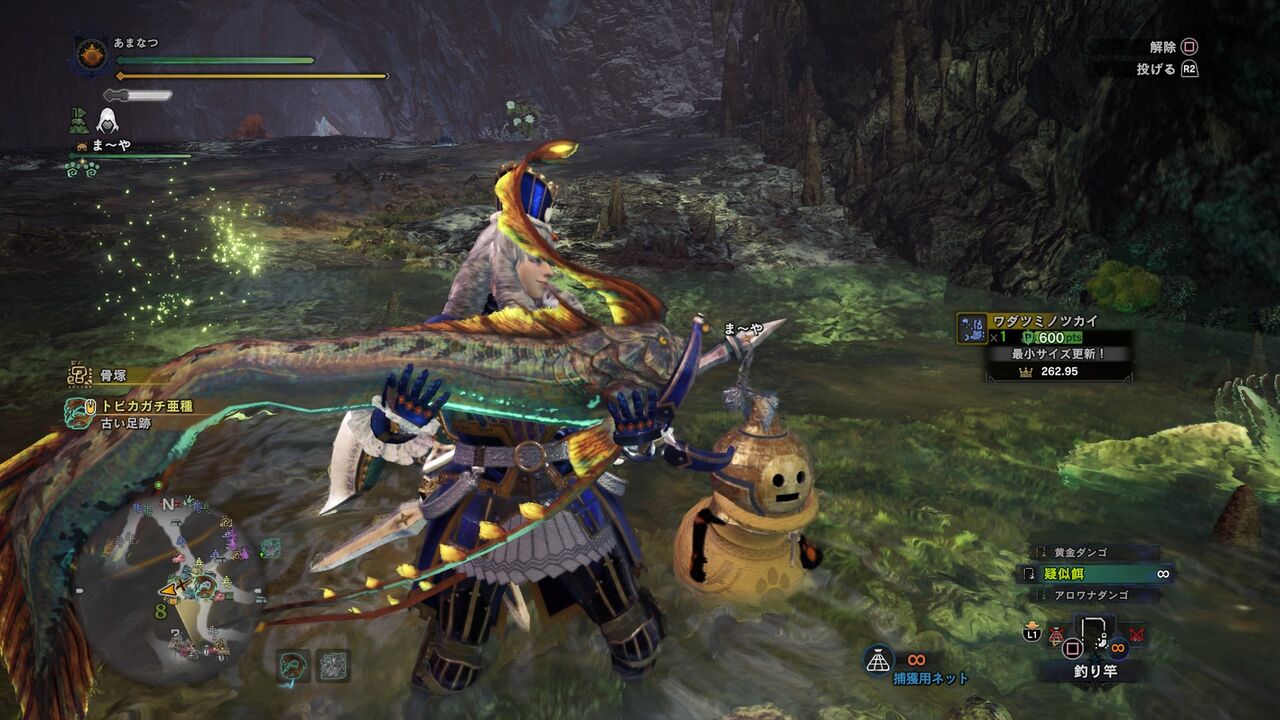 Mhw Ib 環境生物を見つけよう 渡りの凍て地 四季彩