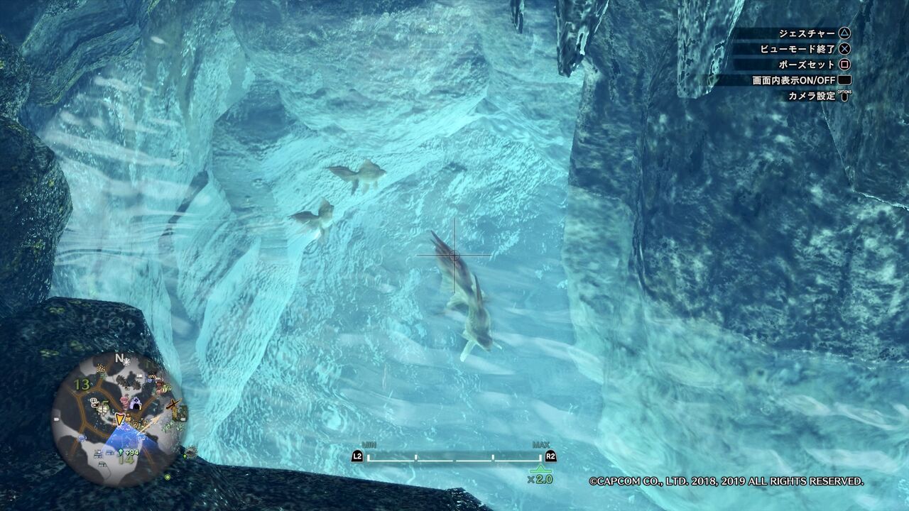 Mhw Ib 環境生物を見つけよう 瘴気の谷 四季彩