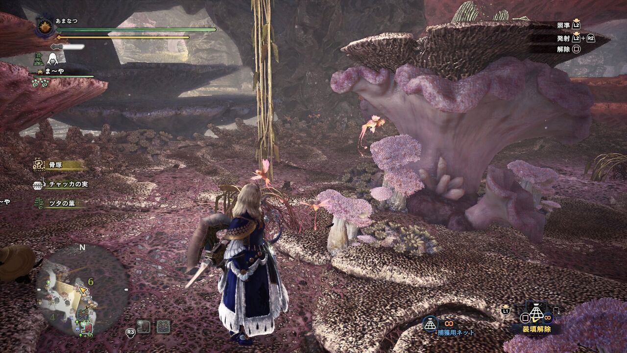 Mhw Ib 環境生物を見つけよう 陸珊瑚の台地 四季彩 Mhw Ib 環境生物を見つけよう 陸珊瑚の台地 四季彩