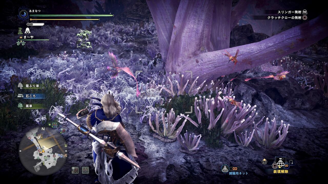 Mhw Ib 環境生物を見つけよう 陸珊瑚の台地 四季彩