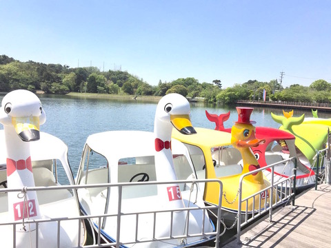 108fbb13-d65b-41ff-a054-ee292434cf72