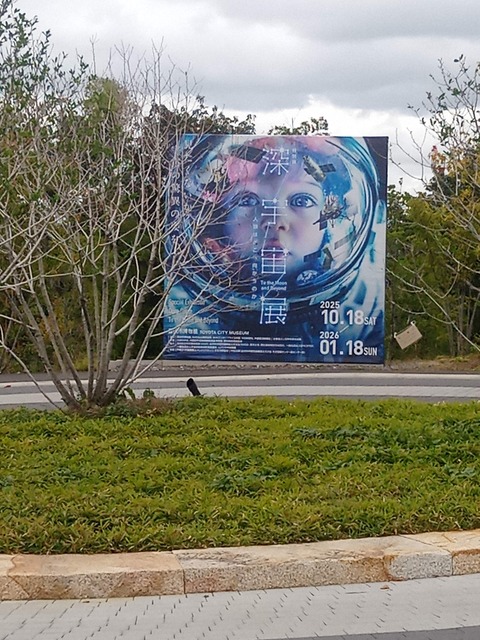 IMG_20251018_113335677