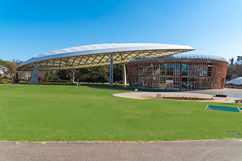 8035895c7d2e5675be486ef902d81584