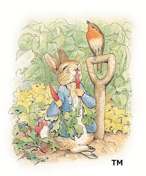 Peter rabbit 1