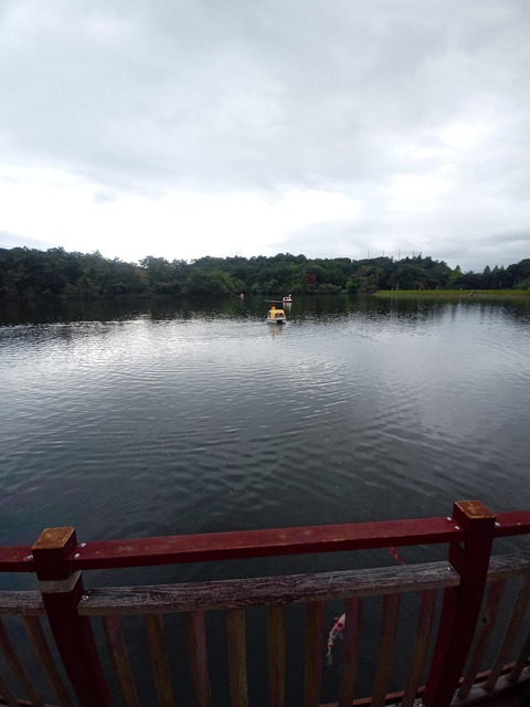 IMG_20251018_141621579