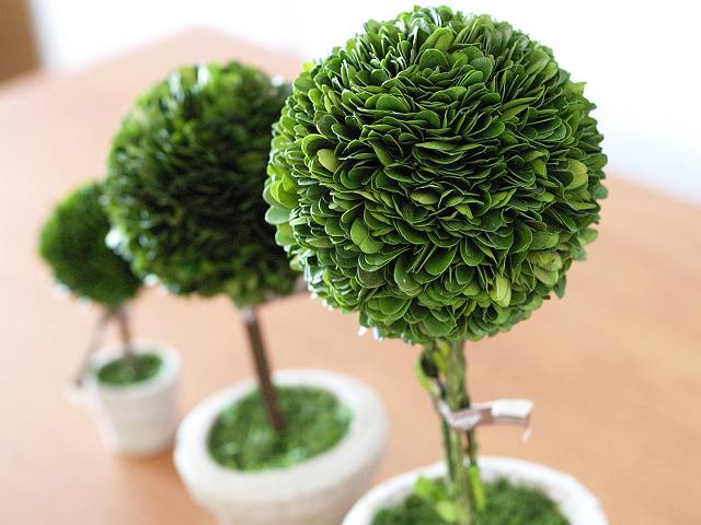 Dulton トピアリーボール Diario Di Koshy S